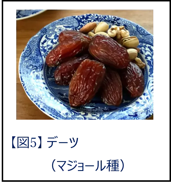 20250522-5