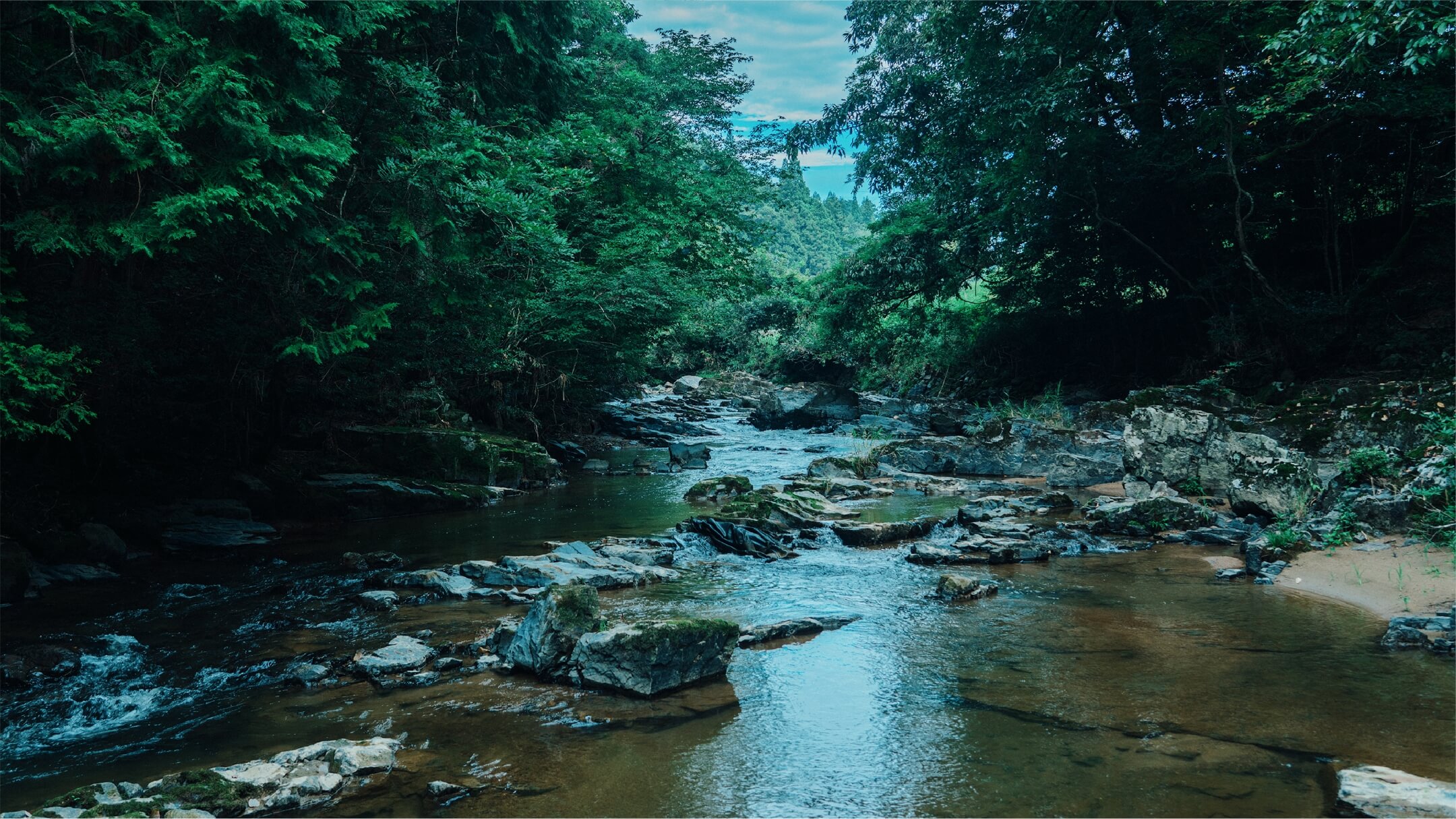 たくさんの水源地に恵まれた、大和町の自然環境