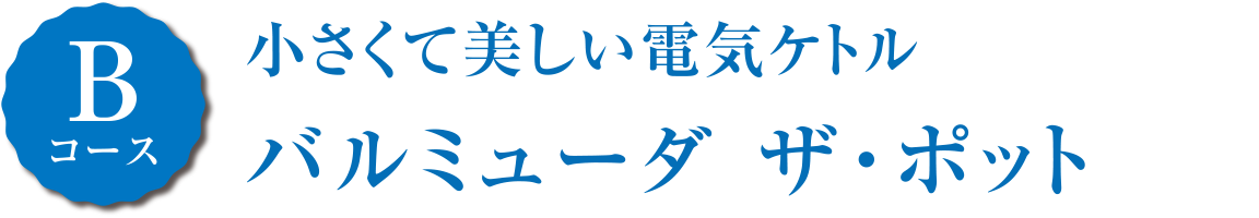 [Bコース]小さくて美しい電気ケトル　バルミューダ ザ・ポット