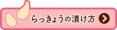 らっきょうの漬け方レシピはこちら