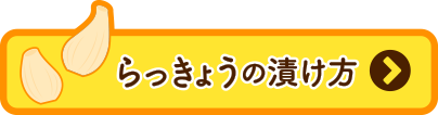 らっきょうの漬け方レシピはこちらから