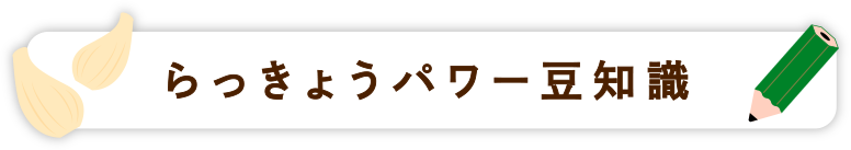 らっきょうパワー豆知識